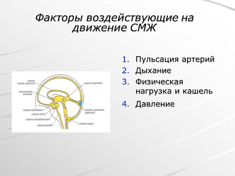 Пульсация артерий Дыхание Физическая нагрузка и кашель Давление   Факторы воздействующие на движение